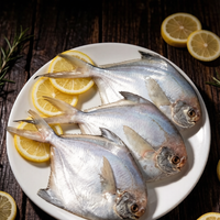White Pomfret