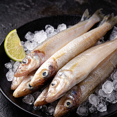 Sand Lance (Sardine)